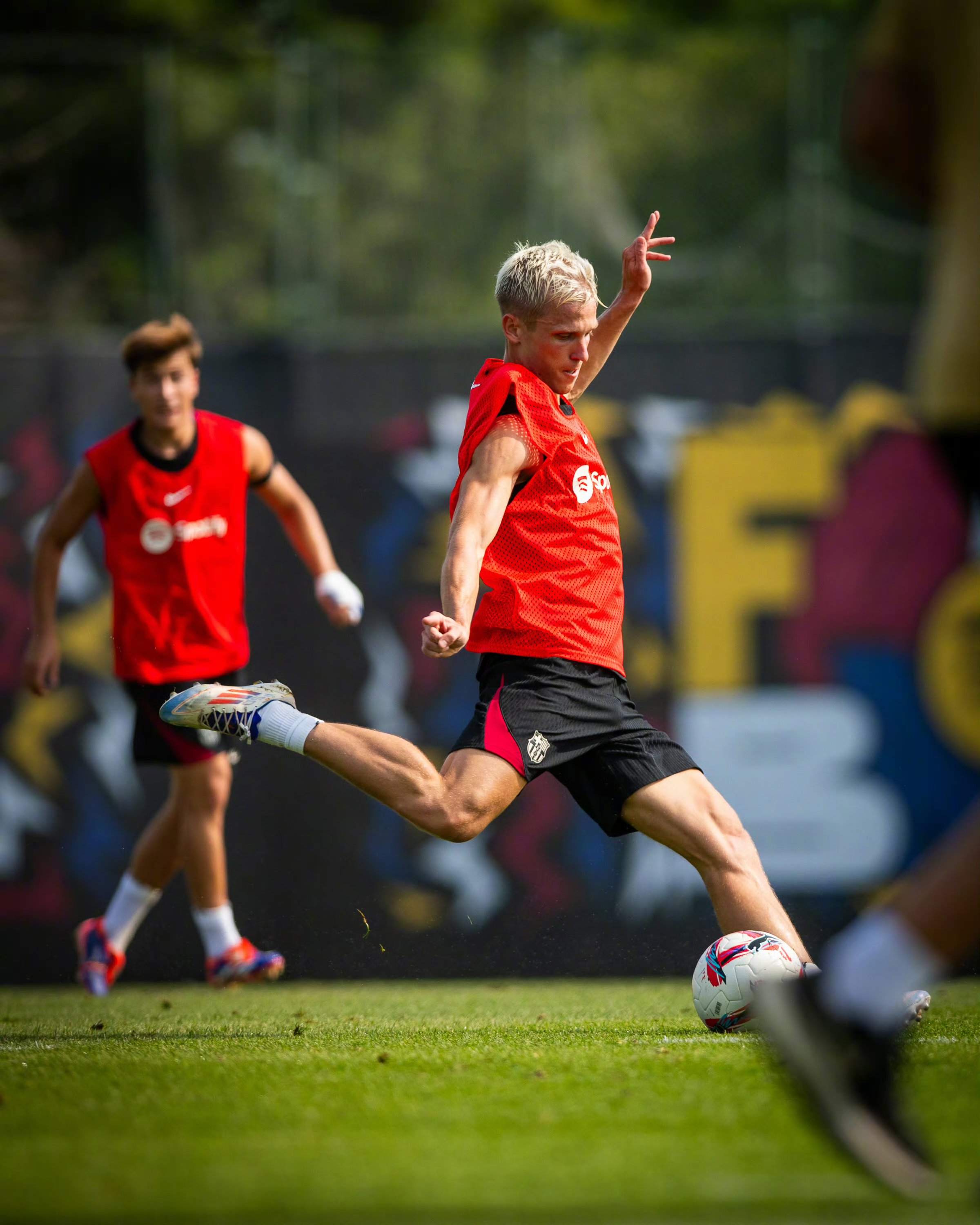 乐鱼体育官方网站-西甲豪门什么意思