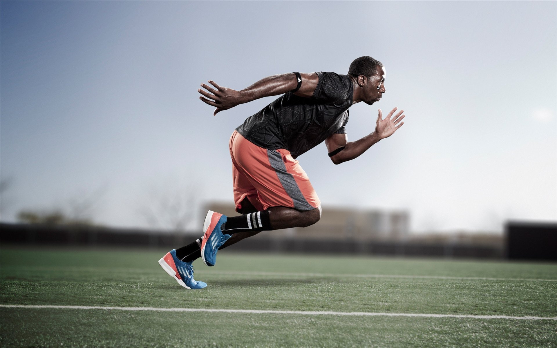 法兰克福式的情形相容决定论